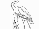 Blue Heron Coloring Page Coloring Page Great Blue Heron Coloring Pages