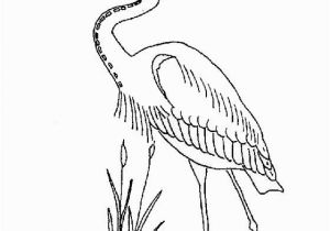 Blue Heron Coloring Page Coloring Page Great Blue Heron Coloring Pages