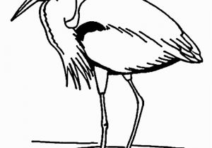 Blue Heron Coloring Page Great Blue Heron Coloring Free Animal Coloring Pages Sheets Great