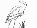 Blue Heron Coloring Page Great Blue Heron Coloring Page Animals town Animal Color Sheets