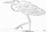 Blue Heron Coloring Page Great Blue Heron Coloring Page Free Printable Coloring Pages