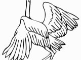 Blue Heron Coloring Page Heron Coloring Pages