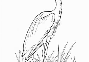 Blue Heron Coloring Page Heron Colouring Pages Page 3 Upeita Juttuja Pinterest