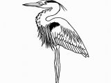 Blue Heron Coloring Page Heron Great Blue Coloring Page