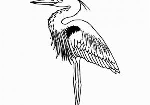 Blue Heron Coloring Page Heron Great Blue Coloring Page