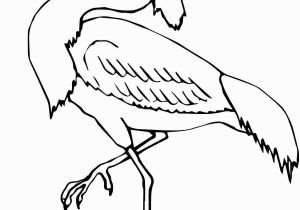 Blue Heron Coloring Page Wading Heron Coloring Page