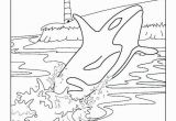 Blue Whale Coloring Page orca Coloring Pages New Blue Whale Coloring Page at Getcolorings