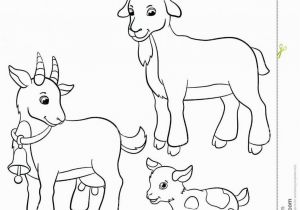 Boer Goat Coloring Pages Free Printable Goat Coloring Pages Master Coloring Pages