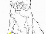 Border Collie Coloring Page 25 Best Dog Coloring Page Images
