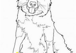 Border Collie Coloring Page 25 Best Dog Coloring Page Images