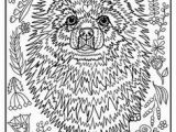 Border Collie Coloring Page 2695 Best Linearth Images