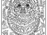 Border Collie Coloring Page 2695 Best Linearth Images