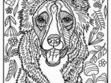 Border Collie Coloring Page 2695 Best Linearth Images