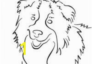 Border Collie Coloring Page 31 Best Border Collie Colors Images