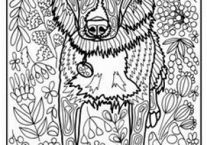 Border Collie Coloring Page 380 Best Dogs Images