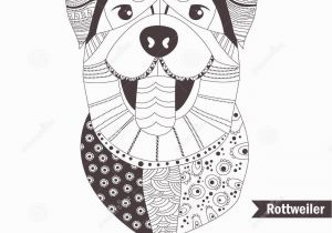 Border Collie Coloring Page Rottweiler Coloring Book Stock Vector Illustration Of