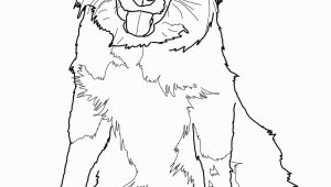 Border Collie Coloring Pages to Print Border Collie Coloring Page