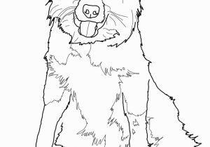 Border Collie Coloring Pages to Print Border Collie Coloring Page