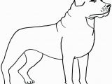 Border Collie Coloring Pages to Print Border Collie Coloring Pages at Getcolorings