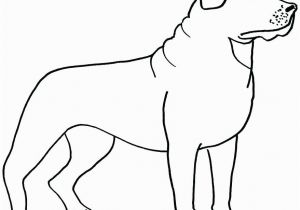 Border Collie Coloring Pages to Print Border Collie Coloring Pages at Getcolorings
