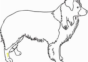 Border Collie Coloring Pages to Print Border Collie Coloring Pages Free Printable Coloring Sheets