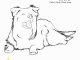 Border Collie Coloring Pages to Print Border Collie Coloring Pages to Print Wallpapers Hd