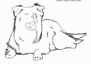 Border Collie Coloring Pages to Print Border Collie Coloring Pages to Print Wallpapers Hd