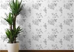 Botanical Tale Floral Wall Mural Floral Wallpaper Sweet Blush Roses Black and White by