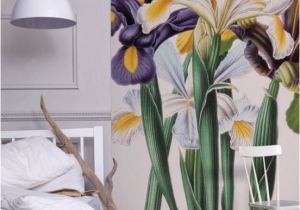 Botanicals Floral Wall Mural Iris Xiphium Mural New York Botanical Garden From £60 Per