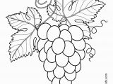 Bowl Of Fruit Coloring Page Grapes with Leaves Fruits and Berries Coloring Pages for Kids