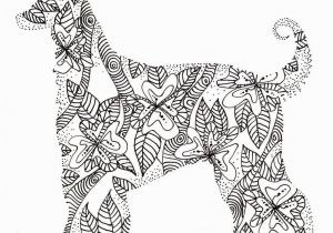 Boxer Dog Coloring Pages Afghan Hound