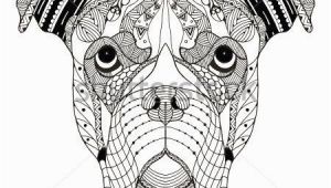 Boxer Dog Coloring Pages Boxer Dog Head Zentangle Stylized Vector Illustration