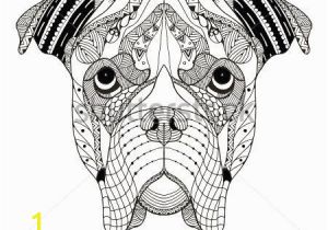 Boxer Dog Coloring Pages Boxer Dog Head Zentangle Stylized Vector Illustration