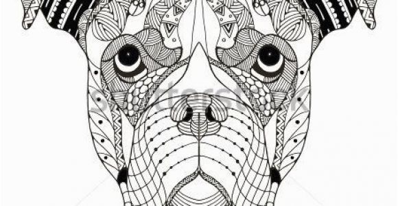 Boxer Dog Coloring Pages Boxer Dog Head Zentangle Stylized Vector Illustration