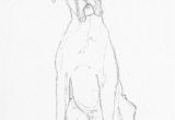 Boxer Dog Coloring Pages Boxer Dog Sketch by Battlekat S Boutique