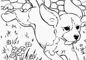 Breast Cancer Awareness Coloring Pages Printable Coloring Pages Dachshund – Pusat Hobi
