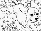 Breast Cancer Coloring Pages Printable Coloring Pages Dachshund – Pusat Hobi