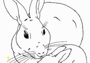 Brer Rabbit Coloring Pages Lustermahtab