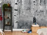 Brewster Home Fashions Wall Murals Birch forest Wall Mural by Brewster at Gilt Walls