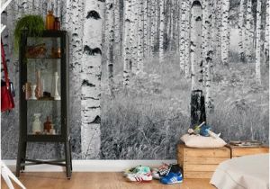 Brewster Home Fashions Wall Murals Birch forest Wall Mural by Brewster at Gilt Walls