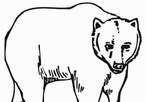 Brown Bear Brown Bear What Do You See Coloring Pages Brown Bear Brown Bear What Do You See Coloring Pages