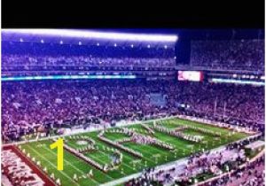 Bryant Denny Stadium Wall Mural 39 Best Sweet Home Alabama Images