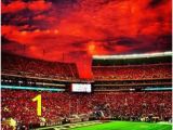 Bryant Denny Stadium Wall Mural 39 Best Sweet Home Alabama Images