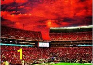 Bryant Denny Stadium Wall Mural 39 Best Sweet Home Alabama Images