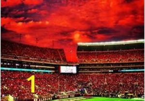 Bryant Denny Stadium Wall Mural 39 Best Sweet Home Alabama Images