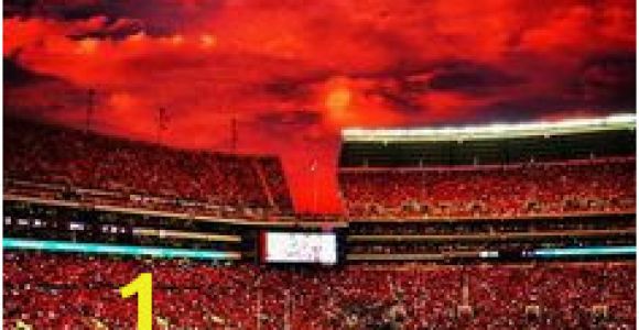 Bryant Denny Stadium Wall Mural 39 Best Sweet Home Alabama Images