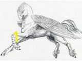 Buckbeak Coloring Pages 44 Best Harry Potter Quotes and Pics Images On Pinterest