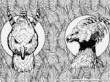 Buckbeak Coloring Pages Verschiedene Bilder Färben Harry Potter Malvorlagen