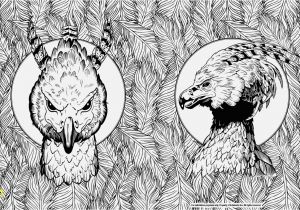 Buckbeak Coloring Pages Verschiedene Bilder Färben Harry Potter Malvorlagen