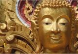 Buddha Wall Mural Wallpaper Buddha Head Gold Wall Mural Wallpaper Lifestyles